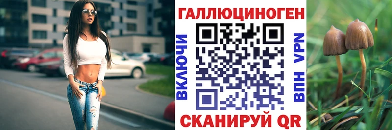 Галлюциногенные грибы GOLDEN TEACHER  дарнет шоп  Хилок 
