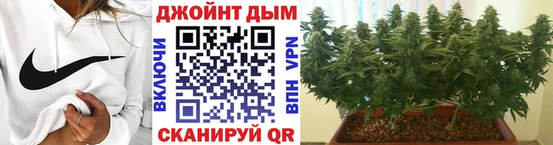 Бошки марихуана Ganja  Хилок 